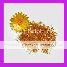  photo calendula_zps8b0fb885.jpg