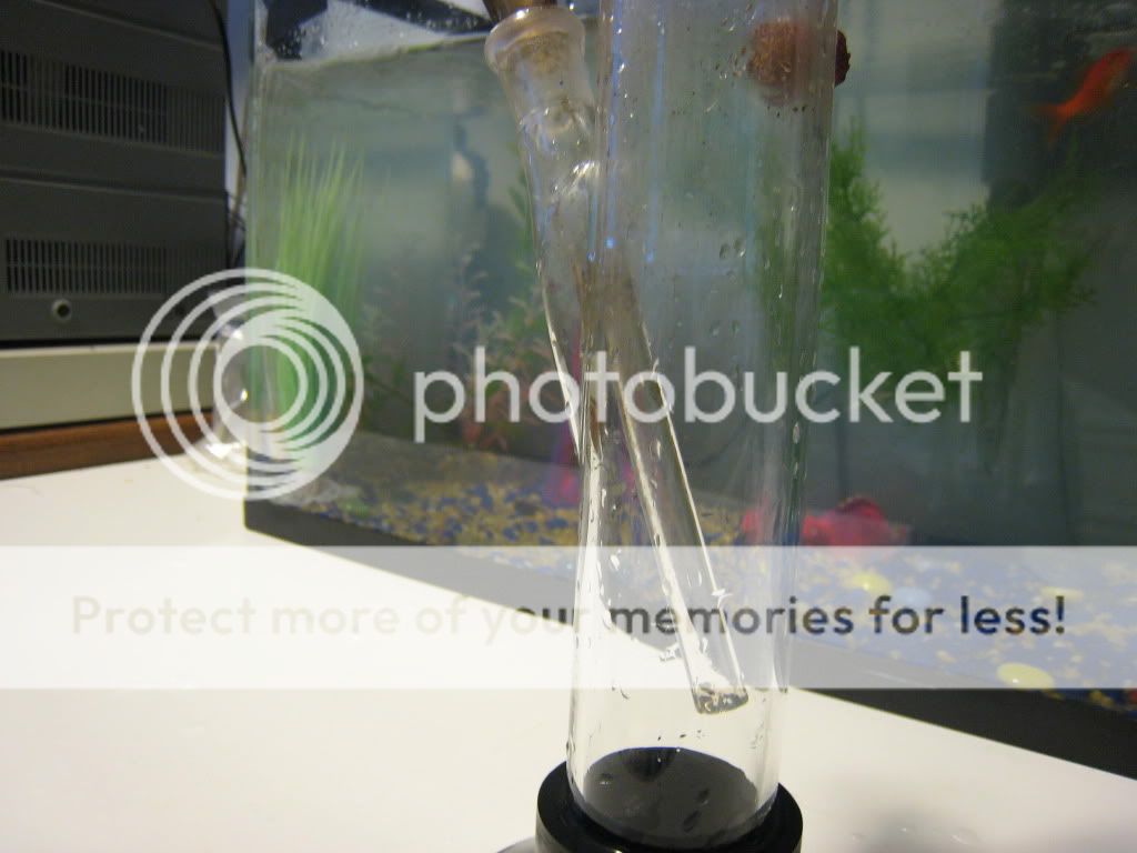 Posted Image