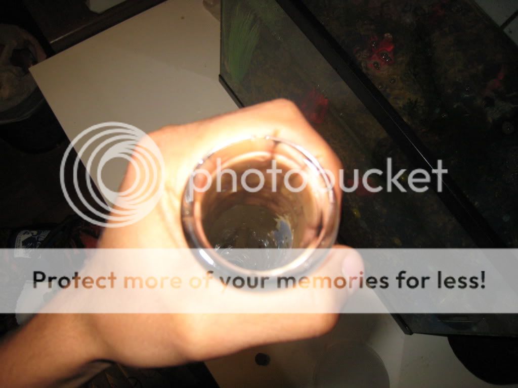Posted Image