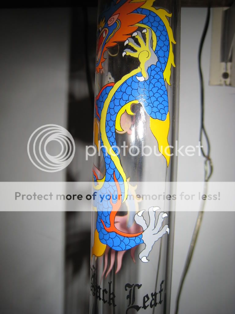 Posted Image