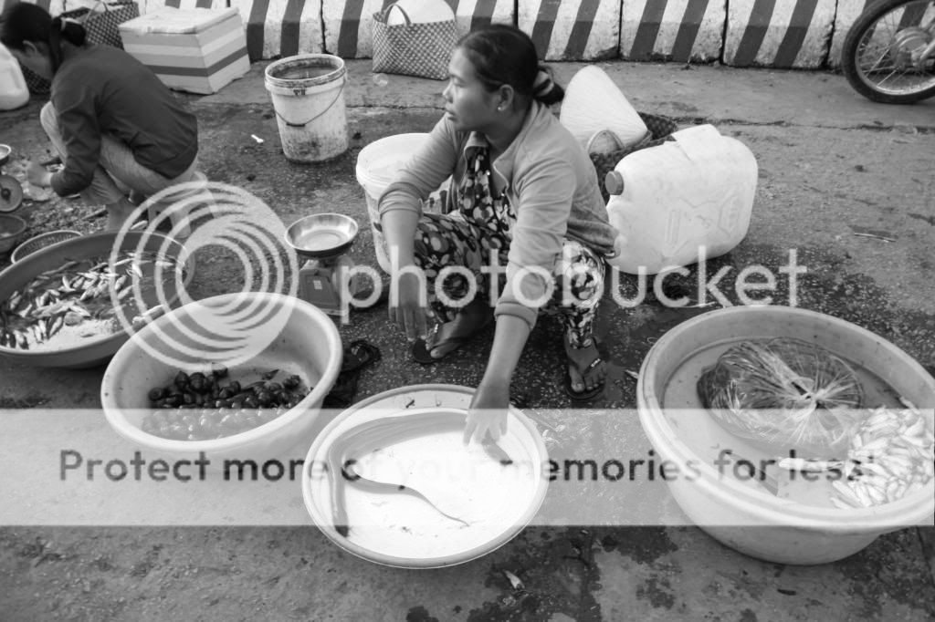 IMAGE: http://i848.photobucket.com/albums/ab43/themightypugs/IMG_5539_zps766aab3b.jpg