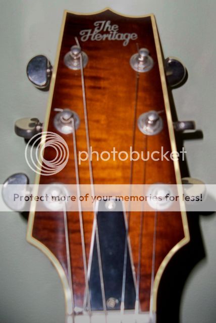 med_gallery_4008_307_618762_zpsc930e428.