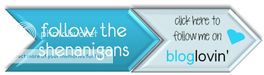 Follow on Bloglovin