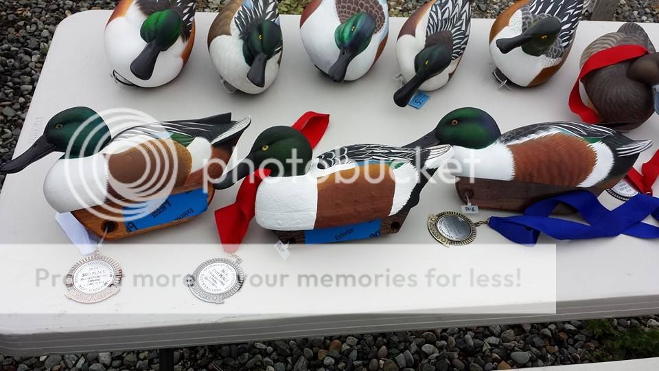 GREAT weekend for FOAM decoys... Duck Hunting Forum