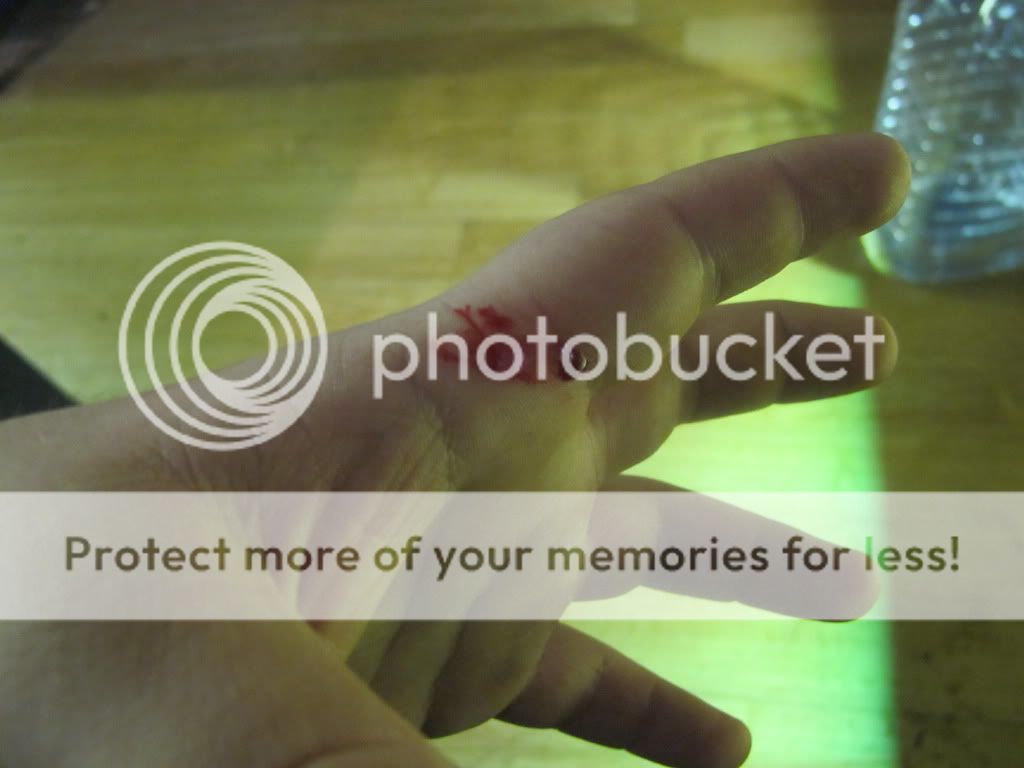 Carpet Python Bite at Raymond Jones blog