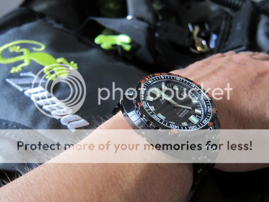 The best PVD Dive watch The Dive Watch Connection
