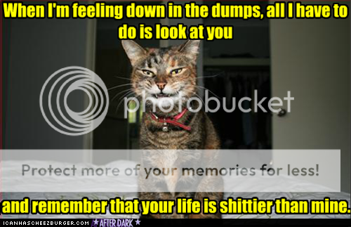 funny-pictures-thanks-for-cheering-me-up