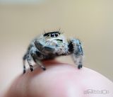 th_DSC_3266_zpstvzjim5g.jpg