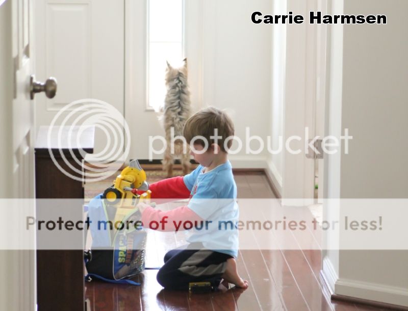 photo IMG_9098_zps20c67b1e.jpg