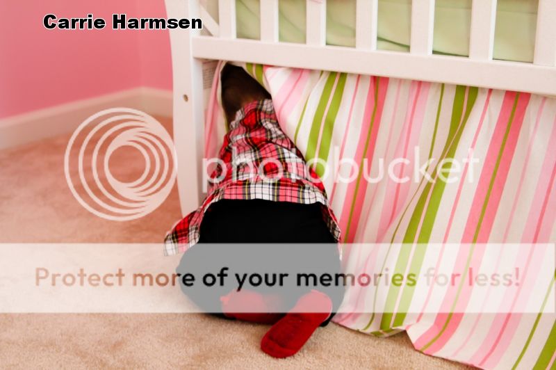 photo IMG_9165_zpscbb5dbd3.jpg