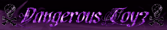DANGEROUS  TOYZ banner