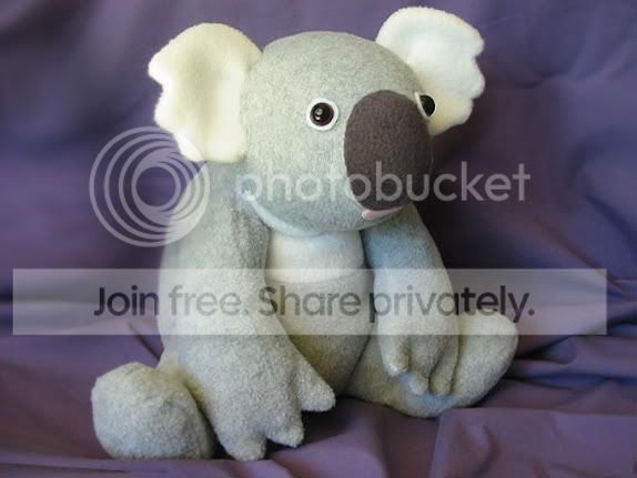 koala.jpg